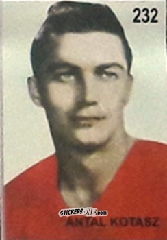 Cromo Antal Kotasz