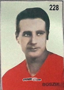 Cromo Boszik