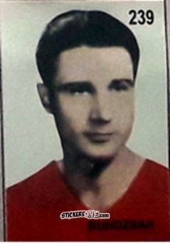 Cromo Bundzsak