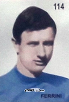 Cromo Ferrini