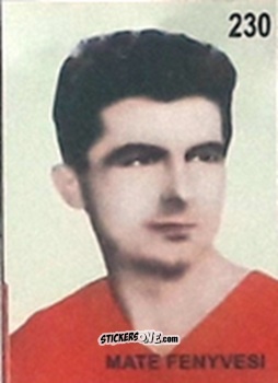 Cromo Mate Fenyvesi