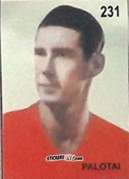 Cromo Palotai