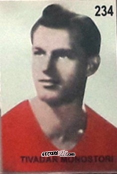 Cromo Tivadar Monostori