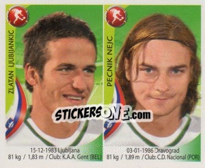 Sticker Zlatan Ljubijankic / Nejc Pecnik - Copa Mundial Sudáfrica 2010 n. 163 - Navarrete