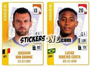 Sticker Joachim Van Damme / Lucas Ribeiro Costa