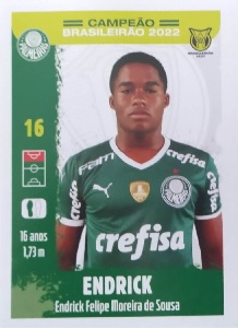 Cromo Endrick - Brasileirão 2022 - Palmeiras Campeão - Panini