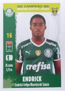 Sticker Endrick - Brasileirão 2022 - Palmeiras Campeão n. 24 - Panini