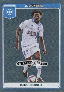 Cromo Delvin Ndinga - FOOT 2011-2012 - Panini