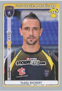 Sticker Teddy Richert - FOOT 2011-2012 n. 431 - Panini