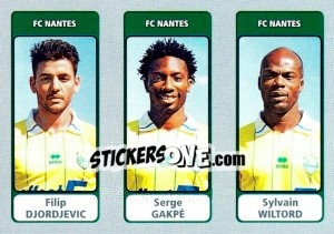 Figurina Filip Djordjevic / Serge Gakpé / Sylvain Wiltord - FOOT 2011-2012 - Panini