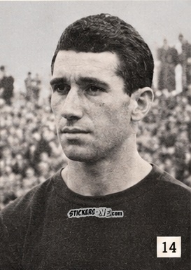 Sticker Cattozzo - L' album Dello Sport Calcio 1953 n. 14 - ADRIANA