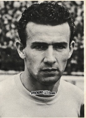 Cromo Cervato - L' album Dello Sport Calcio 1953 n. 17 - ADRIANA