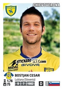 Sticker Bostjan Cesar - Calciatori 2011-2012 n. 124 - Panini