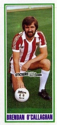 Sticker Brendan O'Callaghan - Footballers 1981-1982
 - Topps