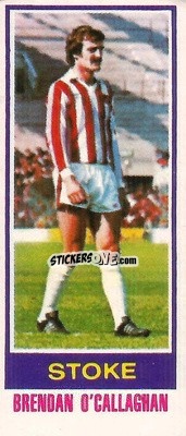 Cromo Brendan O'Callaghan - Footballers 1980-1981
 n. 174 - Topps