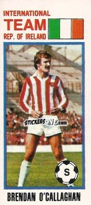 Sticker Brendan O'Callaghan - Footballers 1980-1981
 - Topps