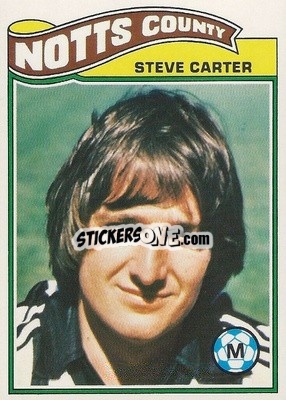 Figurina Steve Carter