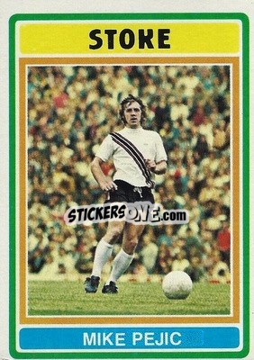 Sticker Mike Pejic - Footballers 1976-1977
 - Topps