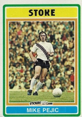 Sticker Mike Pejic - Footballers 1976-1977
 n. 28 - Topps