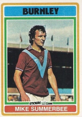 Sticker Mike Summerbee - Footballers 1976-1977
 n. 160 - Topps