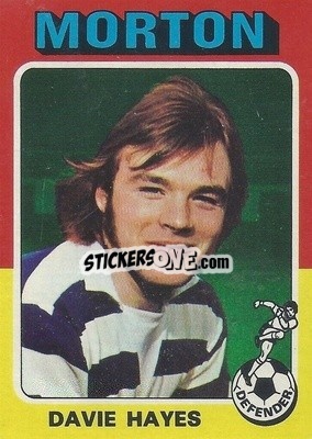 Cromo Davie Hayes - Scottish Footballers 1975-1976
 - Topps