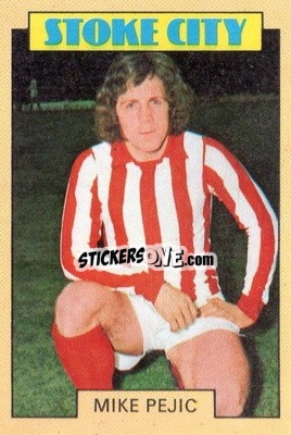 Sticker Mike Pejic - Footballers 1973-1974
 n. 14 - A&BC