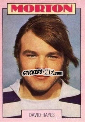 Sticker David Hayes - Scottish Footballers 1973-1974
 n. 69 - A&BC