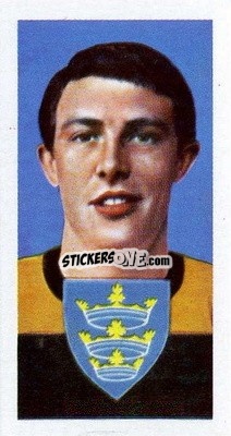 Sticker Paddy Greenwood - Famous Footballers (A15) 1967-1968
 n. 41 - Barratt & Co.
