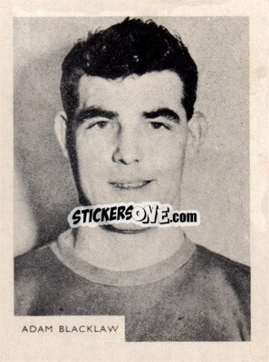 Cromo Adam Blacklaw - Footballers 1966-1967
 - A&BC