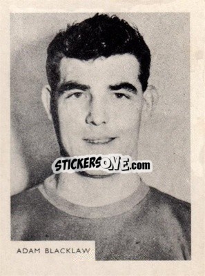 Sticker Adam Blacklaw - Footballers 1966-1967
 n. 195 - A&BC