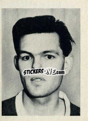 Sticker Barry Lines