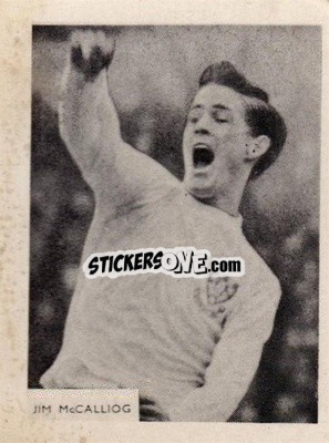 Sticker Jim McCalliog - Footballers 1966-1967
 - A&BC