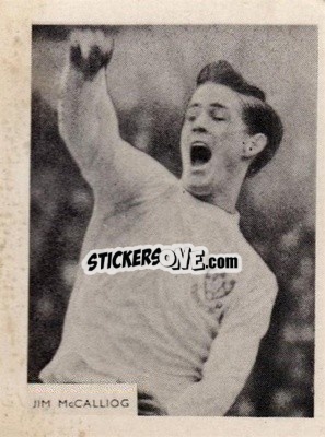 Cromo Jim McCalliog - Footballers 1966-1967
 n. 171 - A&BC