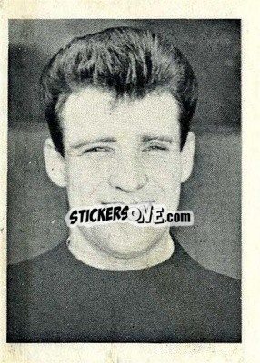 Sticker Johnny Quigley - Footballers 1966-1967
 n. 81 - A&BC