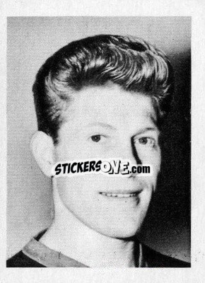 Sticker Ray Pointer