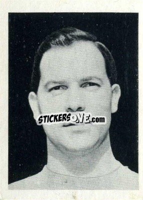 Sticker Roy Ironside