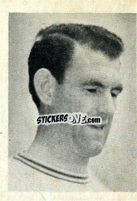 Figurina Terry Allcock - Footballers 1966-1967
 n. 30 - A&BC