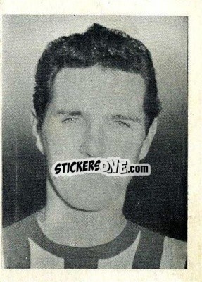Sticker Terry Paine - Footballers 1966-1967
 - A&BC