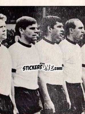 Sticker World Cup Team