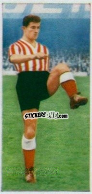 Sticker Charlie Hurley - Famous Footballers 1961
 n. 37 - Primrose Confectionery
