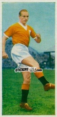 Sticker Stanley Matthews