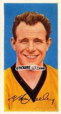 Sticker Norman Deeley - Famous Footballers (A8) 1960
 n. 44 - Barratt & Co.
