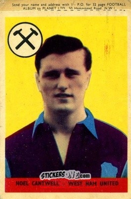 Sticker Noel Cantwell - Footballers 1958-1959
 - A&BC