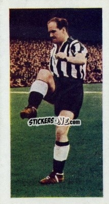 Sticker Jimmy Scoular - Footballers 1957
 - Cadet Sweets
