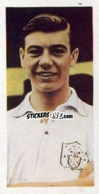 Sticker Johnny Haynes - Footballers 1957
 - Cadet Sweets
