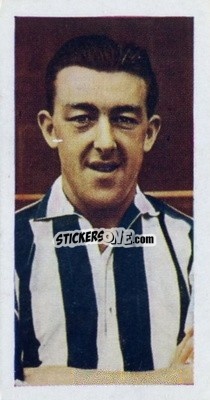 Figurina Roy Shiner - Footballers 1957
 n. 49 - Cadet Sweets
