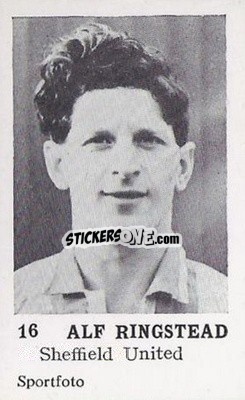 Sticker Alf Ringstead