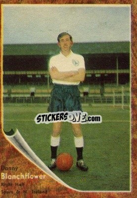Cromo Danny Blanchflower - Footballers 1963-1964
 n. 20 - A&BC