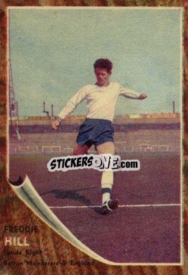 Cromo Fred Hill - Footballers 1963-1964
 - A&BC