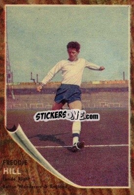 Sticker Fred Hill - Footballers 1963-1964
 n. 65 - A&BC